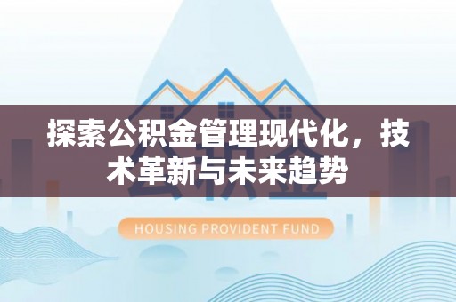 合肥探索公积金管理现代化，技术革新与未来趋势