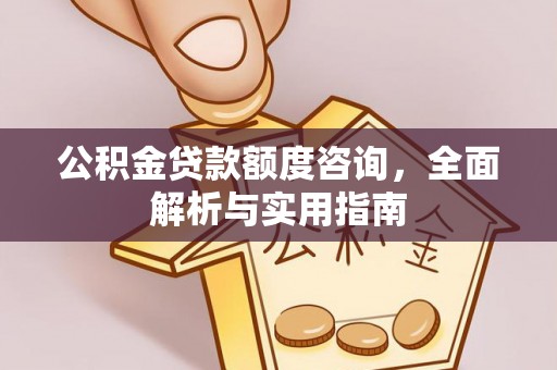 合肥公积金贷款额度咨询，全面解析与实用指南