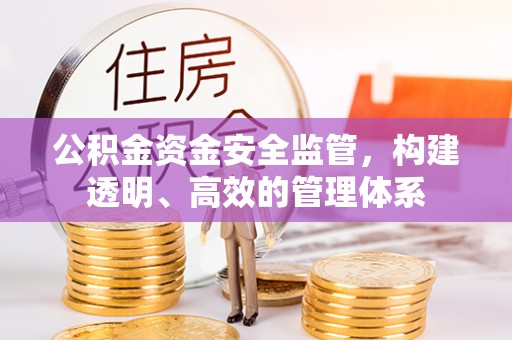 合肥公积金资金安全监管，构建透明、高效的管理体系