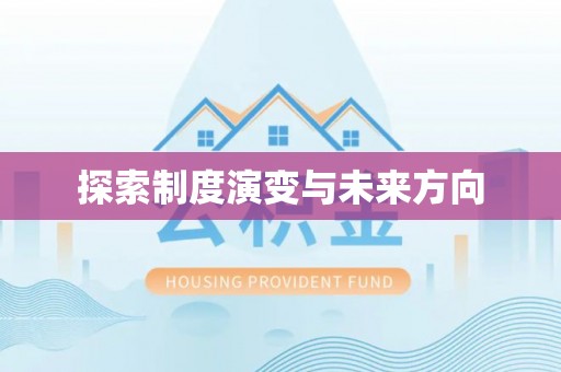合肥探索制度演变与未来方向