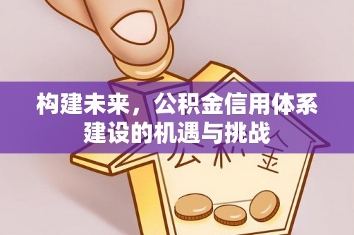 合肥构建未来，公积金信用体系建设的机遇与挑战