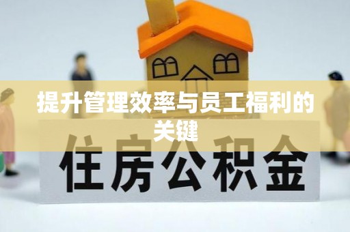 合肥提升管理效率与员工福利的关键