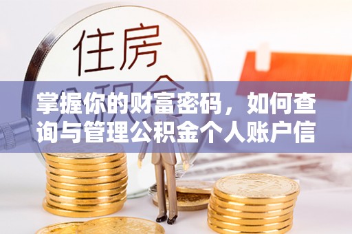 合肥掌握你的财富密码，如何查询与管理公积金个人账户信息