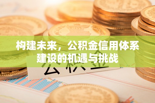 合肥构建未来，公积金信用体系建设的机遇与挑战