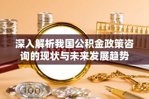 合肥深入解析我国公积金政策咨询的现状与未来发展趋势
