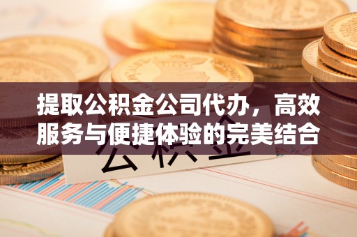 合肥提取公积金公司代办，高效服务与便捷体验的完美结合
