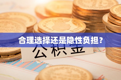 合肥合理选择还是隐性负担？